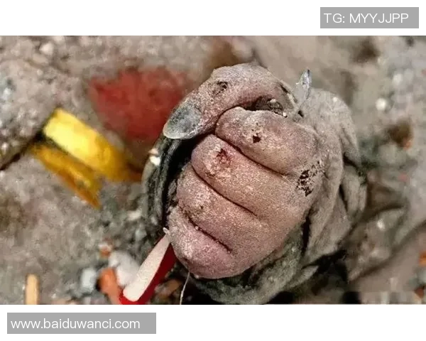 镜头回顾：那不勒斯这一幕令人泪目