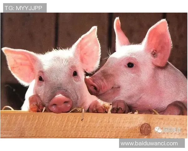 你不知道的曼城：十大冷知识大揭秘