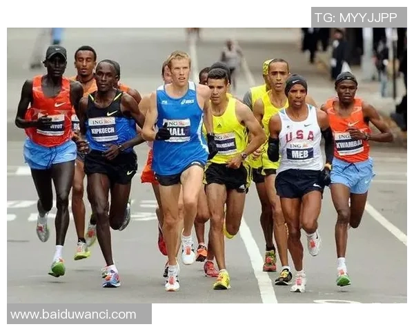 奥运会多项目参赛运动员体能分配策略与优化研究